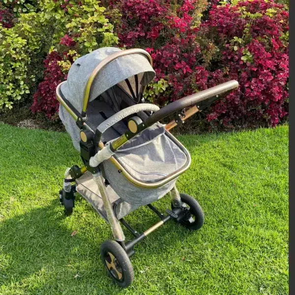 Empty grey newborn bassinet stroller featuring a gold frame, adjustable canopy, large wheels, and under-seat storage basket, shown on grass.
