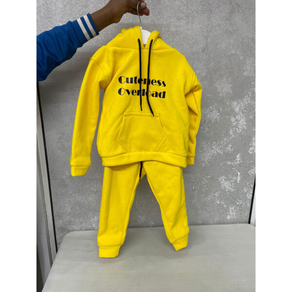 Hoodie with matching Sweat pants